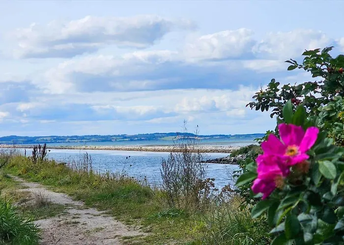 Сasa de vacaciones 84175-ebeltoft-bjarkes-grund-11-b *